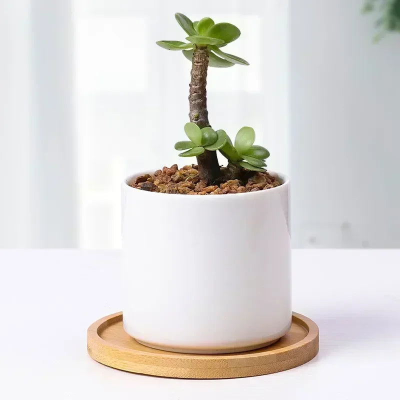 Plateau en bambou multifonction – Naturel & élégant